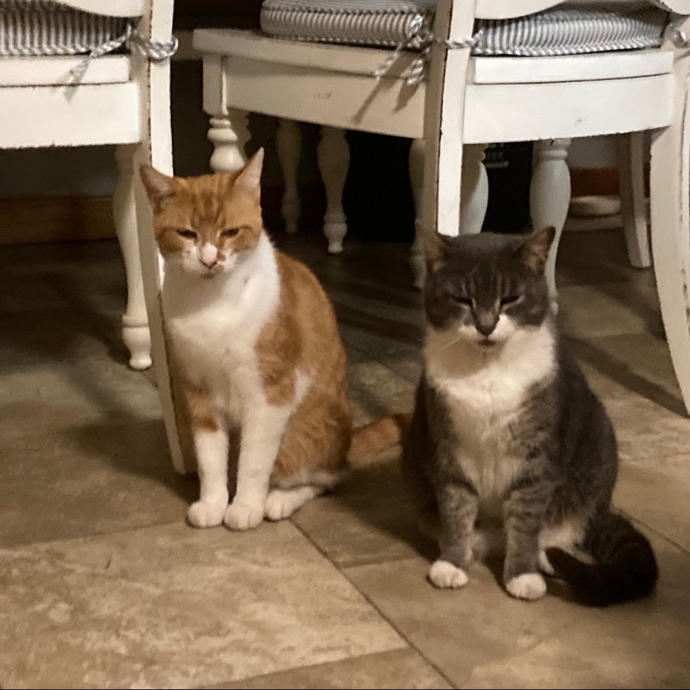 Meet your Posher, Breanna